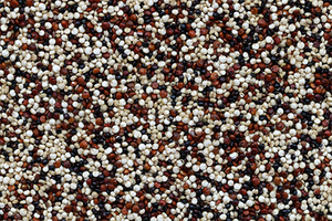 Beans Sorting.jpg